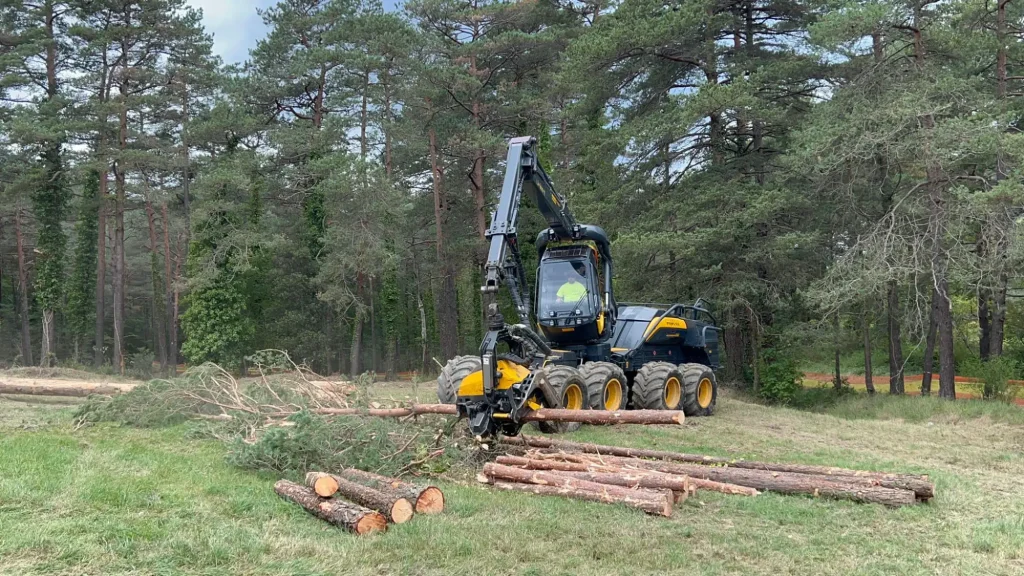Transport Gladine Bois, votre entreprise de Transport de bois et de piquets, Achat | Vente bois de chauffage, Vente de granulés de bois et Transport Exceptionnel en porte char sur Castelsarrasin.