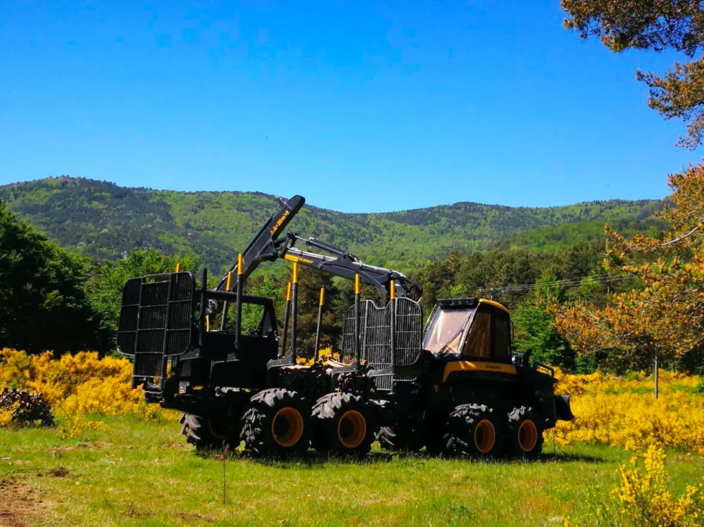 Transport Gladine Bois, votre entreprise de Transport de bois et de piquets, Achat | Vente bois de chauffage, Vente de granulés de bois et Transport Exceptionnel en porte char sur Castelsarrasin.